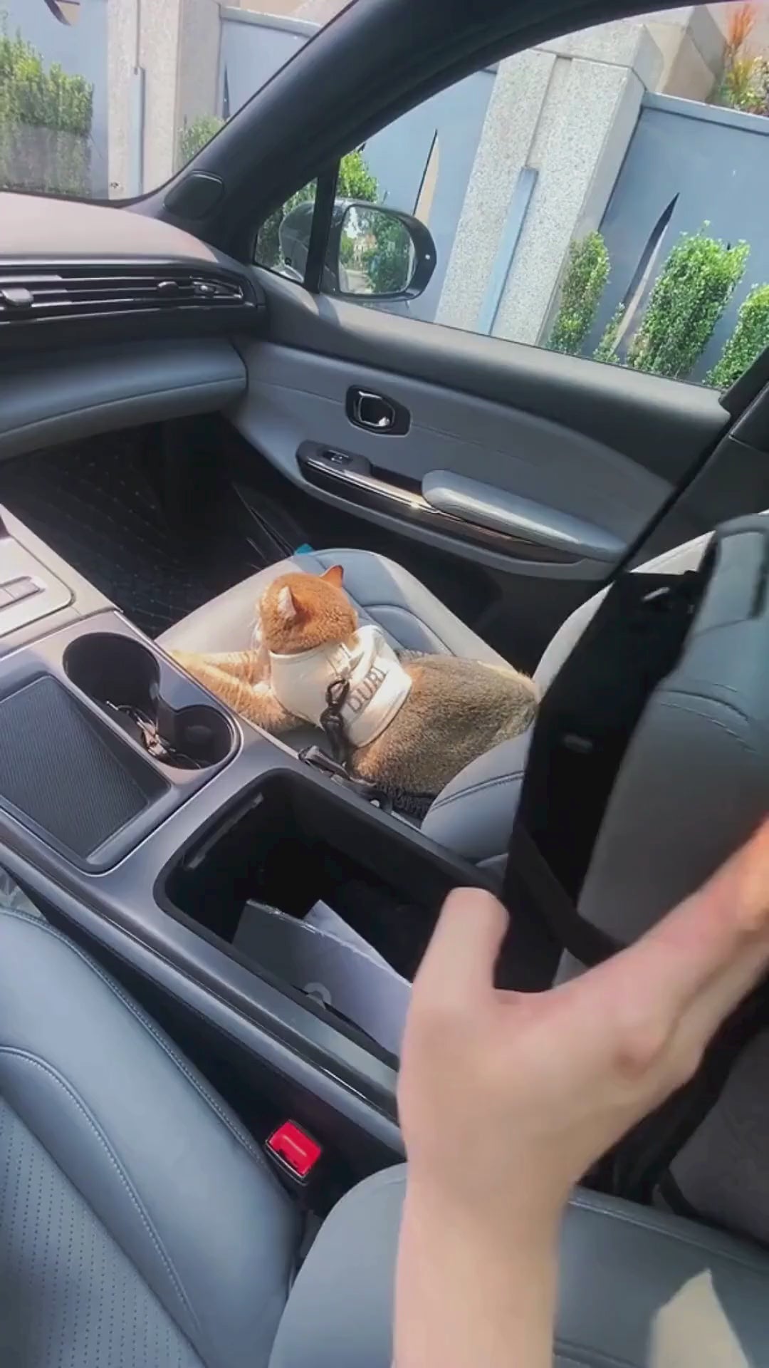 PawsSafe™ Premium Waterproof Dog Car Booster Seat